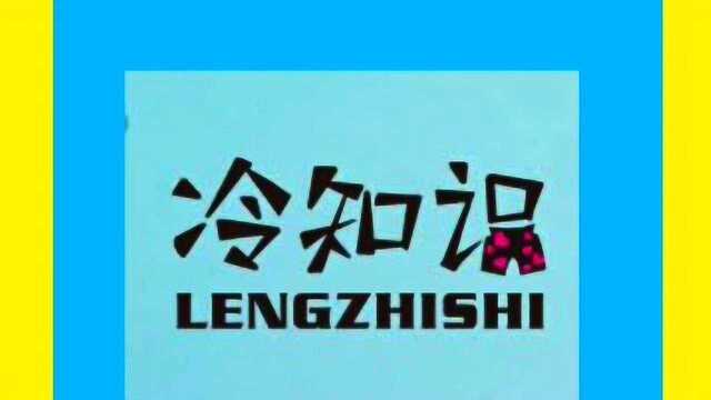 微课堂冷知识,你们所不知道的金鱼冷知识,快来了解一下吧.