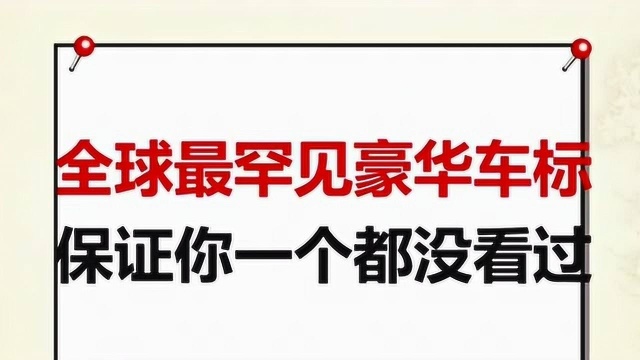 罕见又豪华的车标你有见过几个呢?保证你一个都没见过,快来了解一下吧.