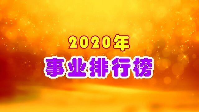 2020年,事业排行榜,贵人运旺,第一名福运旺财,魅力值极高