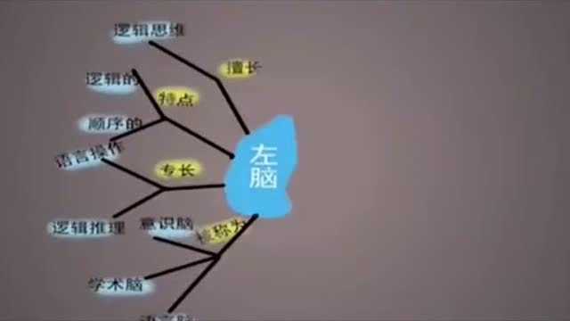 你是左脑人还是右脑人?很容易辨别,你学会了吗