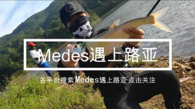 早安鱼儿——Medes遇上路亚