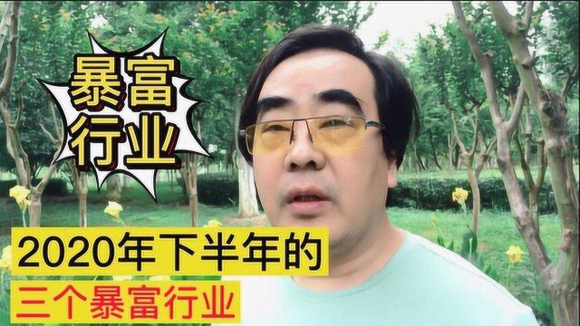 2020年下半年,3大“暴富”行业,不想外出打工的,可以试试