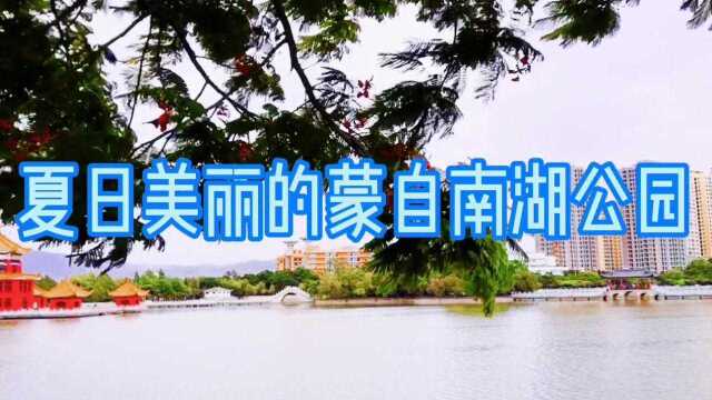 夏日七月,美丽的蒙自南湖公园