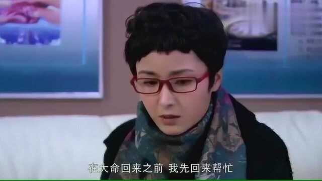 心机同事为了提升业绩,怂恿穷小伙拿前公司的客源,不料小伙正直