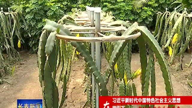 长春市全力争当现代农业建设排头兵