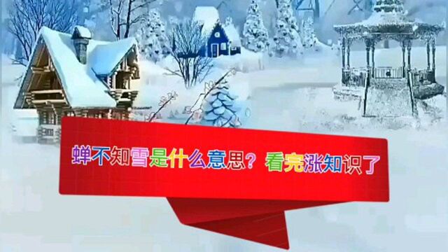 “蝉不知雪”什么意思?都看看吧,看完丰富了自己的成语知识