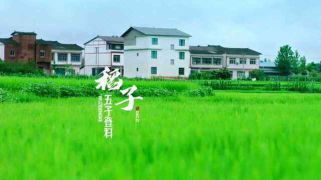 区长县长晒精品|山水田园 美丽梁平