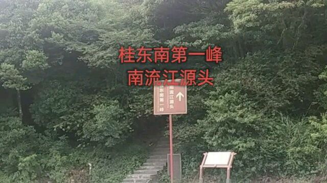 桂东南第一峰大容山,弯弯绕绕了一个钟才到山顶,风景果然不一样