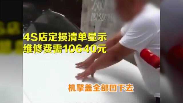 最近又有熊孩子车顶“蹦迪”,踩塌车顶车损1万,家长:孩子没这么大力