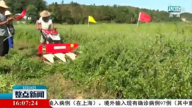 万年:留兰香产业成农民致富“香饽饽”