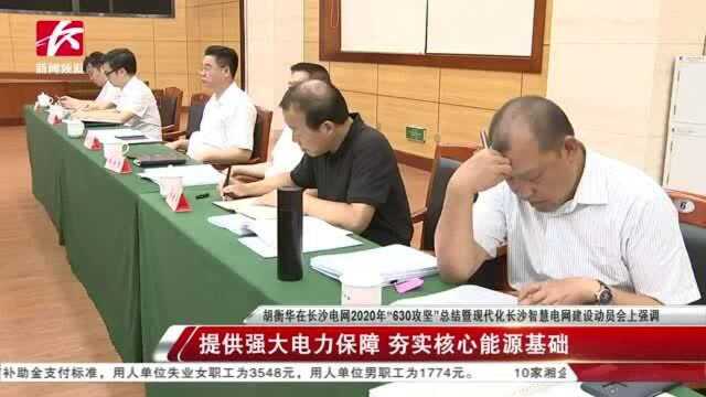 胡衡华:强大电力保障