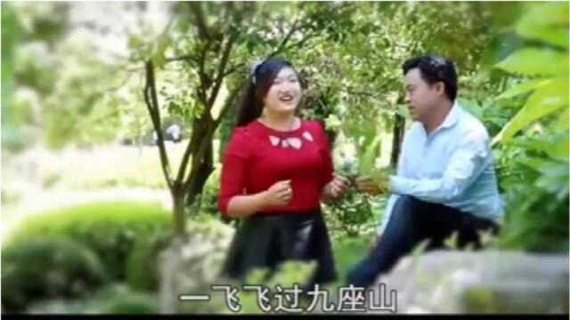 云南山歌:小小蜜蜂翅膀长,飞到妹家采蜜糖