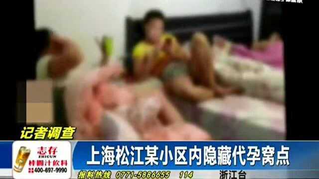 上海松江隐藏代孕团伙,竟称还能选择婴儿性别,真是世界之大无奇不有!