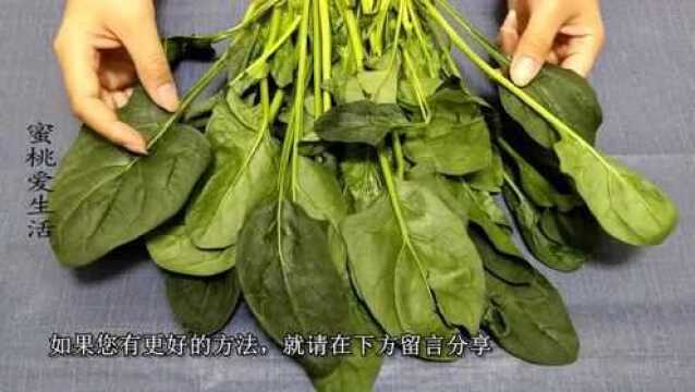 菠菜焯水真的能去除草酸吗?今天总算知道正确答案了,抓紧看看