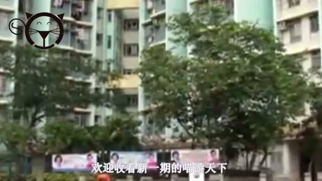 香港曾经服役最久的警署,如今成了,旅游景点,无数游客打卡留念