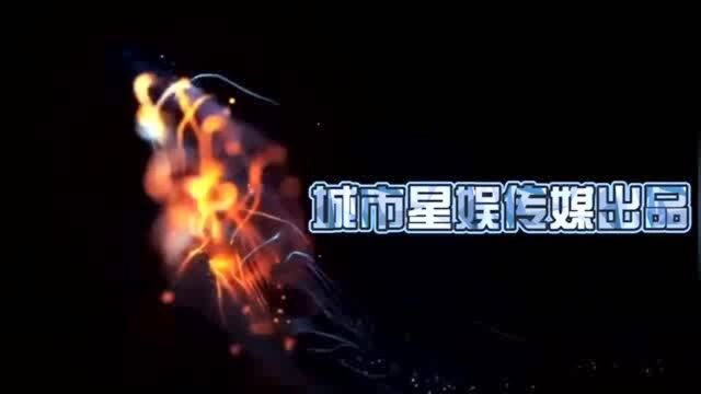 外国人发明的电子鱼,不知道能养多长时间?