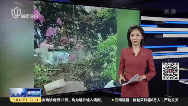 河南商城:运石子货车侧翻埋压捡蒜群众致8死11伤