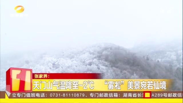 “雾凇”森林美如琉璃仙境,冰雪包裹晶莹剔透,吸引众多游客到来