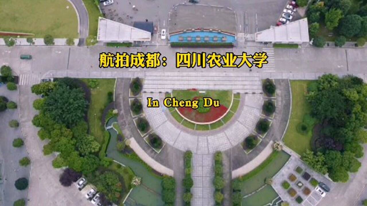 航拍成都航拍四川农业大学换一个角度看农大