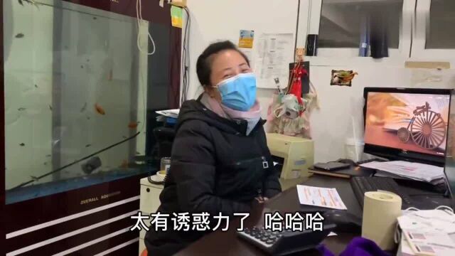 广东深圳:女文员年终奖加工资拿到19000,还有7千块钱的分红,笑的合不拢嘴!