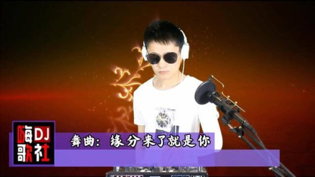 一首情歌对唱《缘分来了就是你》DJ版,醉人醉心!