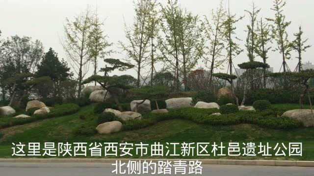 带你旅览西安市曲江新区踏青路,这条路像一个公园,看看它有多美