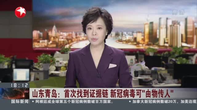 山东青岛:首次找到证据链 新冠病毒可“由物传人”