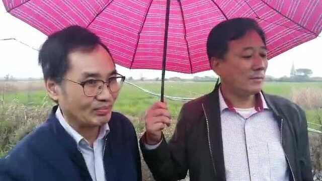 宁波市市长率工商界领导冒雨考察监利市白螺龙虾大王谢国良精品龙虾基地!