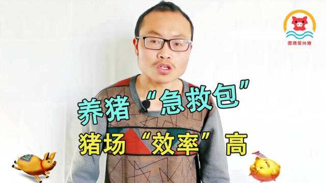 养猪“急救包”猪场效益高,建议养殖户收藏,以备不时之需!