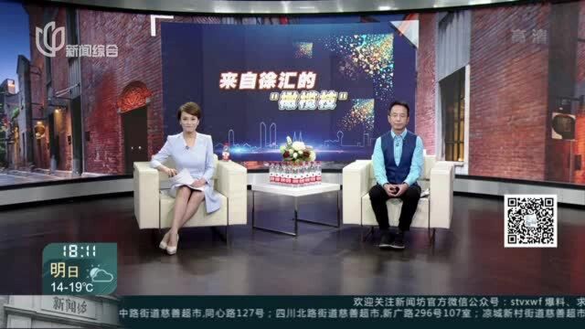 徐汇“掌门人”云端“求贤” 4000多个岗位邀你“汇聚未来”