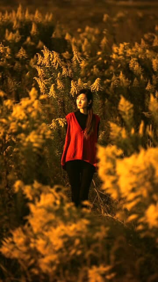 Thumbplayer Poster Plugin Image