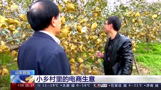 山东招远小乡村里的电商生意 有怎样的“致富密码”?