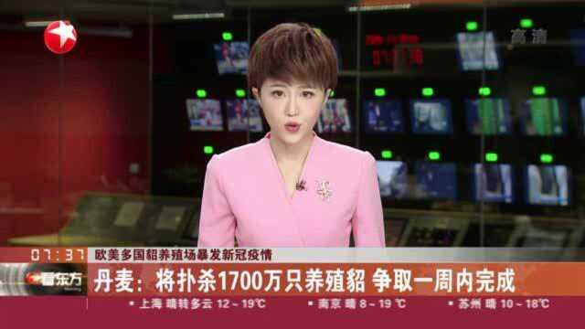 欧美多国貂养殖场暴发新冠疫情:丹麦——将扑杀1700万只养殖貂 争取一周内完成