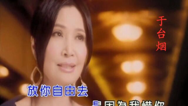 于台烟《爱你不一定要得到你》,怀旧闽南情歌,MTV版