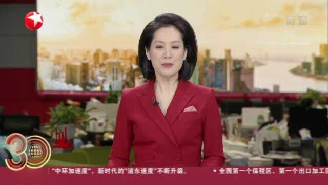 洋山特殊综合保税区:“一线”放开 “二线”管住