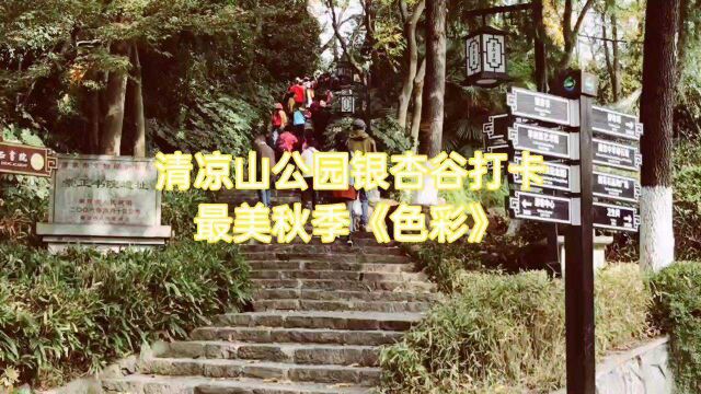 #旅行vlog#南京美景美人清凉山公园银杏谷打卡最美秋季《色彩》!