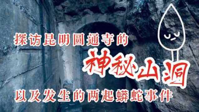 探访昆明圆通寺的神秘山洞以及发生在现代的两起蟒蛇事件