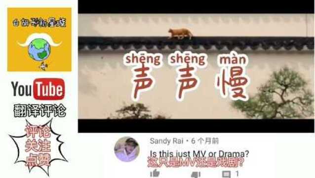 YouTube网友听《声声慢》,翻译评论:太美了!