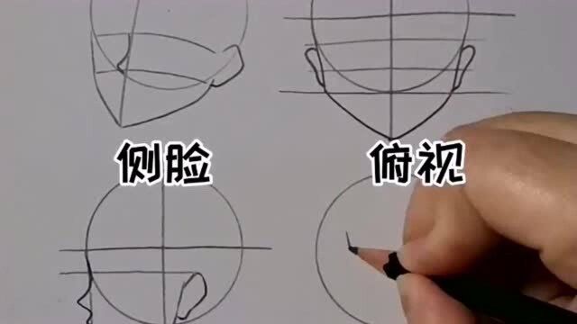 快乐的学习又开始了,今天教你画四种脸型,仰视俯视侧脸正脸一次学会!