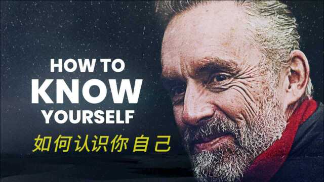 如何认识你自己|Jordan Peterson的人生建议