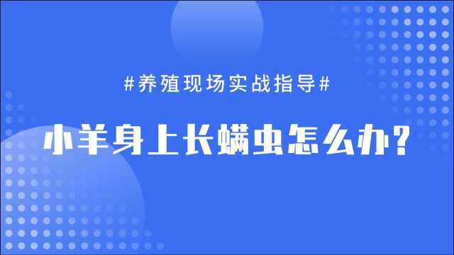 羊螨虫病的病因,临床症状以及羊螨虫病的防治!