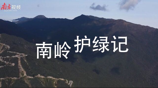 南岭案迎验收:近十年生态案终了解,南岭顶峰苗木渐绿