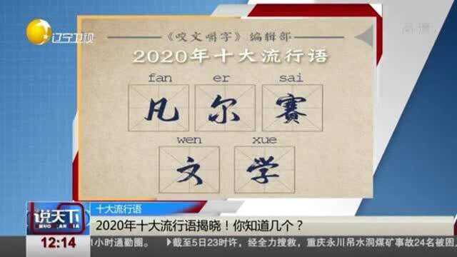 2020年十大流行语揭晓!你知道几个