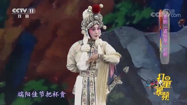 许佳丽、李阔岚演绎京剧《盗仙草》,扮相俏,功夫好