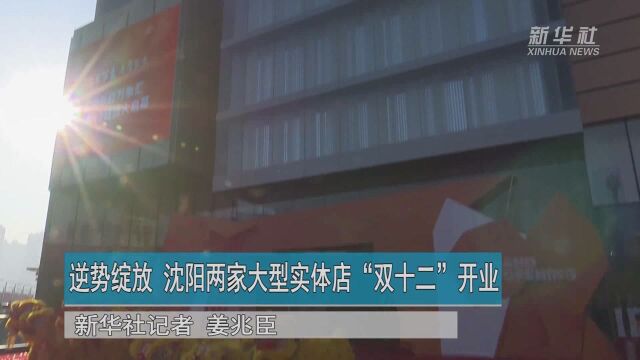 逆势绽放 沈阳两家大型实体店“双十二”开业