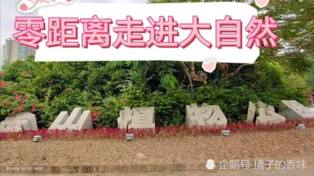 零距离走进大自然的金山植物公园