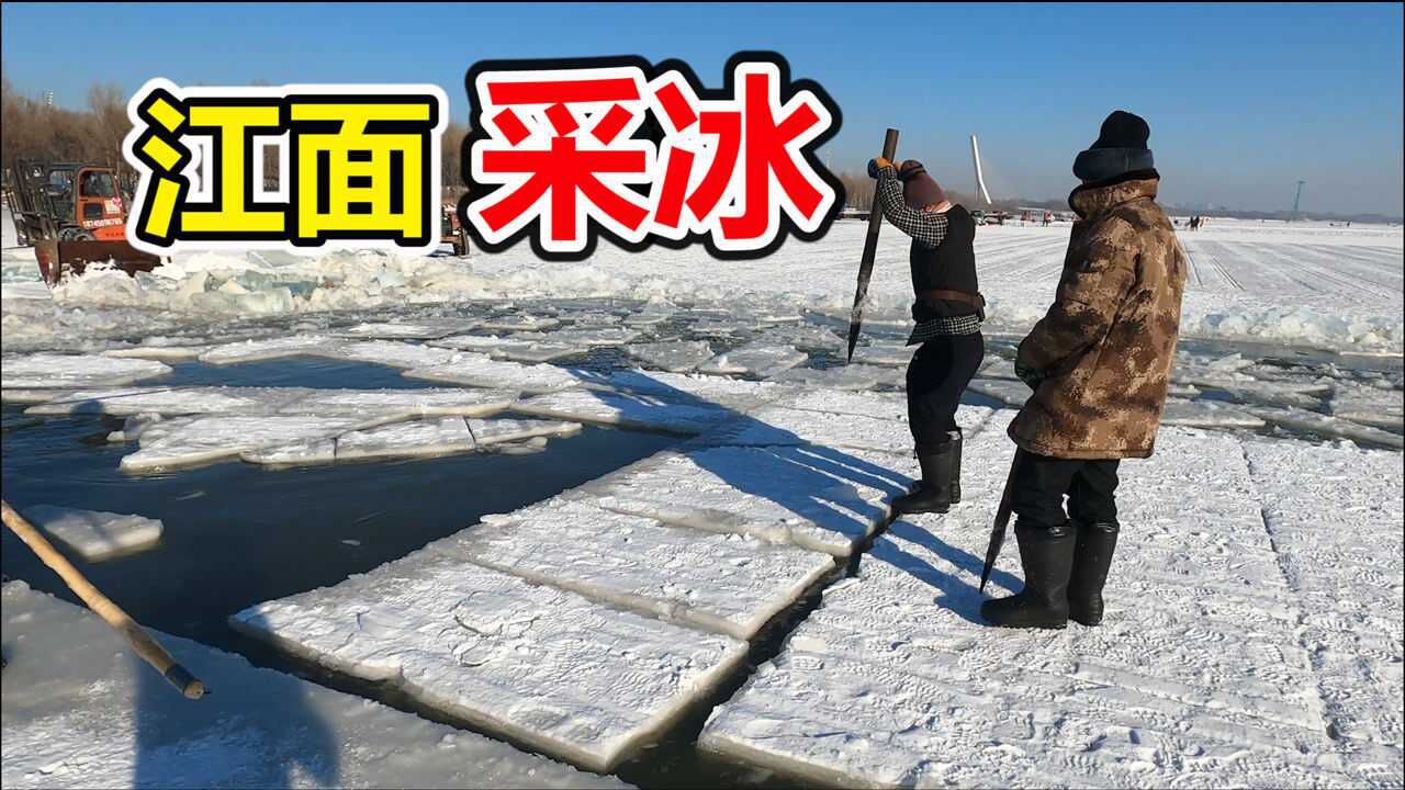 建造哈尔滨冰雪大世界的冰从哪里来?全靠采冰工人在江面上挖出来!