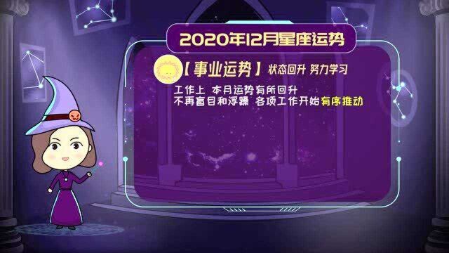 12月星座运势:狮子座