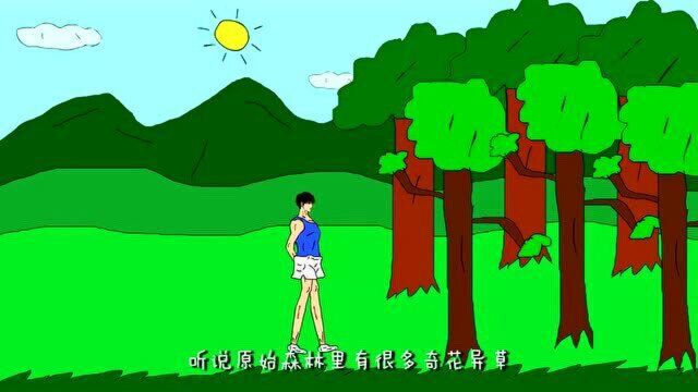 恐怖动画:原始森林