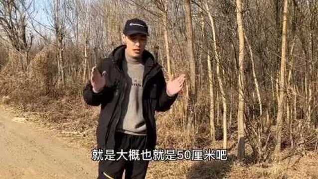 农村烧火用的破木头,现在城里人却很稀罕这木头,一根就能卖到好几百元!